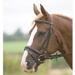 Shires Bedale Snaffle Bridle (Normally ÃÂ£44.99)