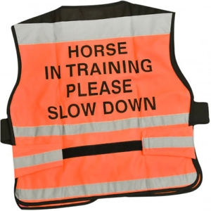 Equisafety Safety Tabard - Horse In Training (RRP ÃÂ£34.99)