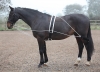 Shires Lunging Aid (RRP Â£59.99)