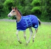 Shires Highlander Foal Rug