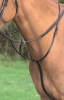 Shires Aviemore Running Martingale