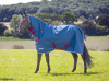 Shires Tempest Original Lite Turnout Combo Rug (RRP £75.99)