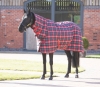 Shires Tempest Plus 200g Stable Combo Rug (RRP £76.99)