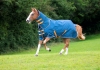Shires Tempest Original Lite Turnout Rug & Neck Set (RRP £79.99)