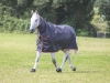 Shires Typhoon 200g Combo Turnout Rug (RRP Â£69.99)