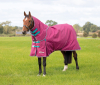 Shires Highlander Original 300 Turnout Rug & Neck Set (RRP £109.99)