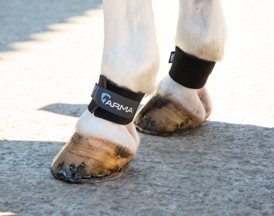 Shires ARMA Pastern Wraps