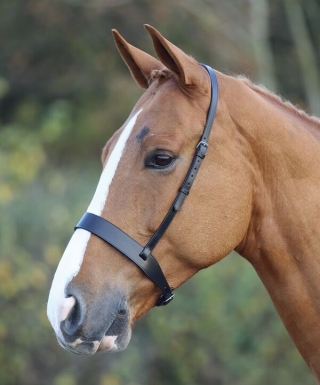 Shires Blenheim Hunter Noseband