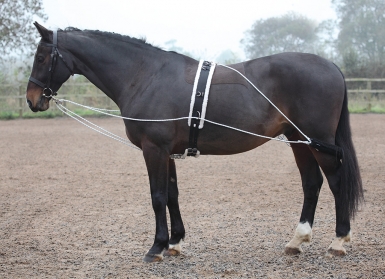 Shires Lunging Aid (RRP ÃÂ£59.99)