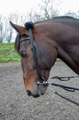 Shires Lunging Adapter (RRP Â£9.99)