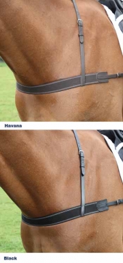 Shires Gara Elastic Breastgirth