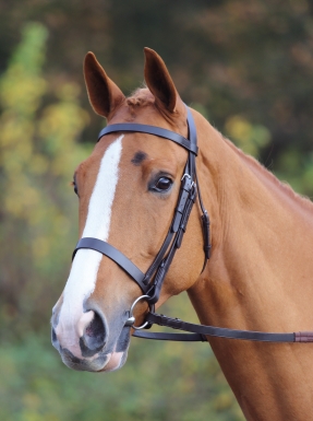 Shires Velociti GARA Plain Bridle