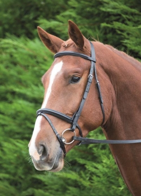 Shires Aviemore Raised Flash Bridle