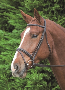 Shires Aviemore Comfort Fit Bridle