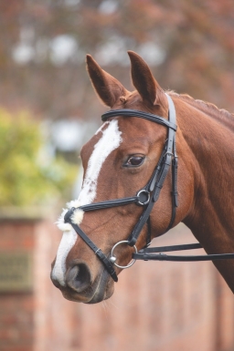 Shires Aviemore Mexican Bridle (rrp ÃÂ£48.99)