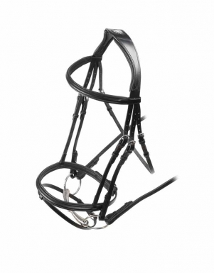 Shires Velociti Padded Raised Flash Bridle (RRP ÃÂ£71.99)