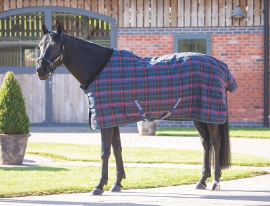 Shires Tempest Plus 100 Stable Rug (RRP Â£57.99)