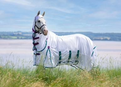 Shires Highlander Plus Fly Sheet Combo Rug (RRP Â£89.99)