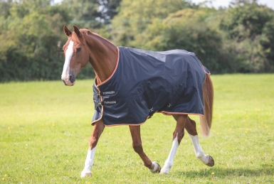 Shires Typhoon 200g Turnout Rug (RRP ÃÂ£55.99)