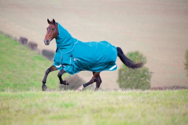 Shires StormCheeta 200 Turnout Rug & Neck Set (RRP ÃÂ£149.99)