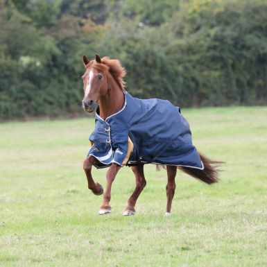 Shires Highlander Plus Lite Turnout Rug (RRP Â£80.99)