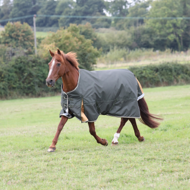 Shires Highlander Plus 50 Turnout Rug (RRP Â£85.99)