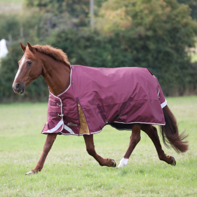 Shires Highlander Plus 100 Turnout Rug (RRP Â£87.99)