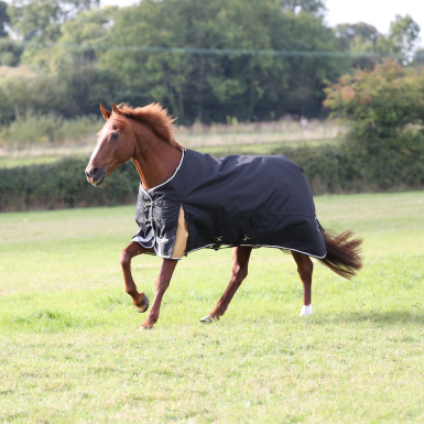 Shires Highlander Plus 200 Turnout Rug (RRP Â£89.99)