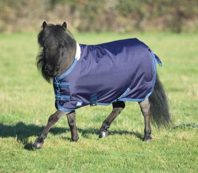 Shires Miniature Tempest (RRP ÃÂ£43.99)